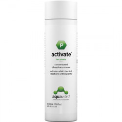 Activate 350 ml Aquavitro